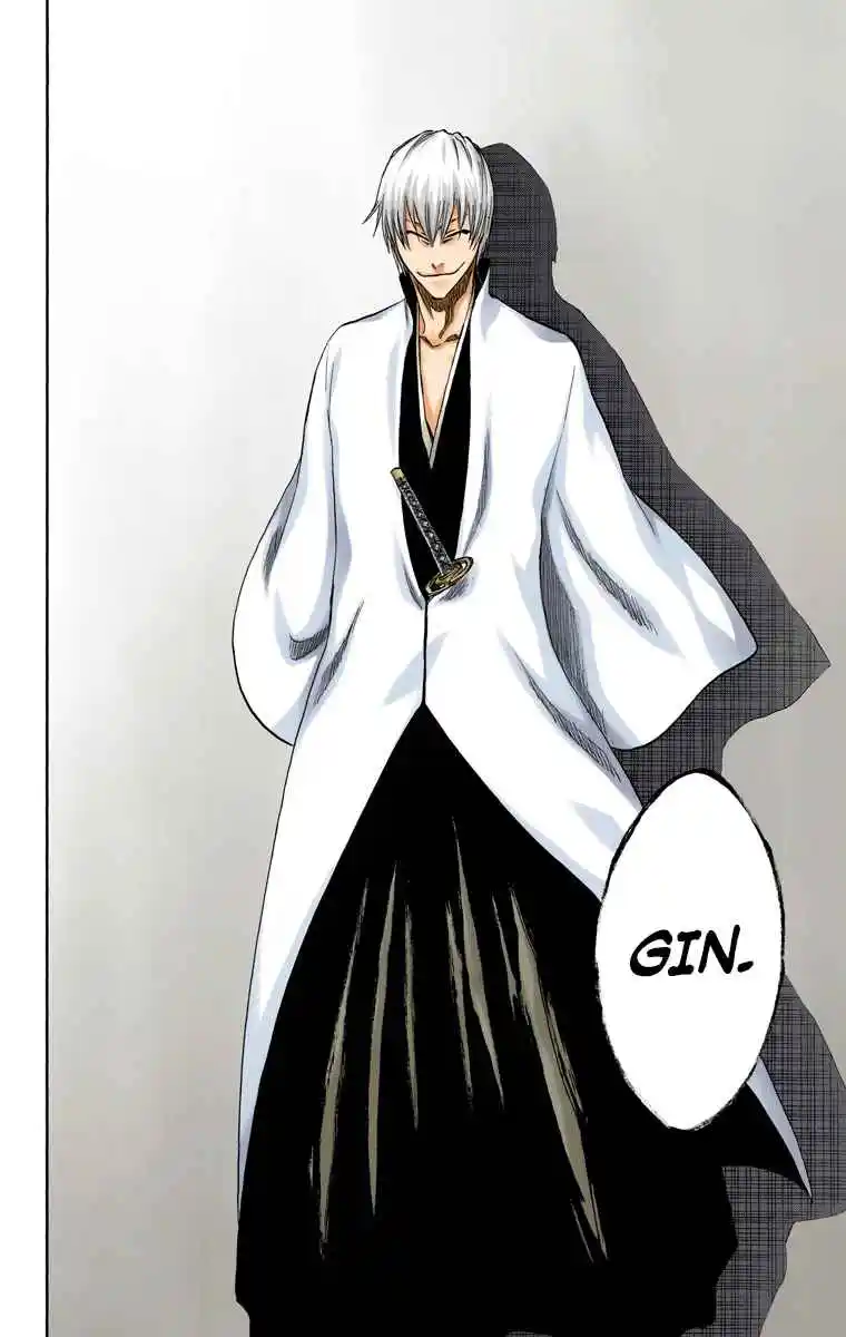 Bleach Full Color - Capítulo 213 - Página 19 - LectorTMOo