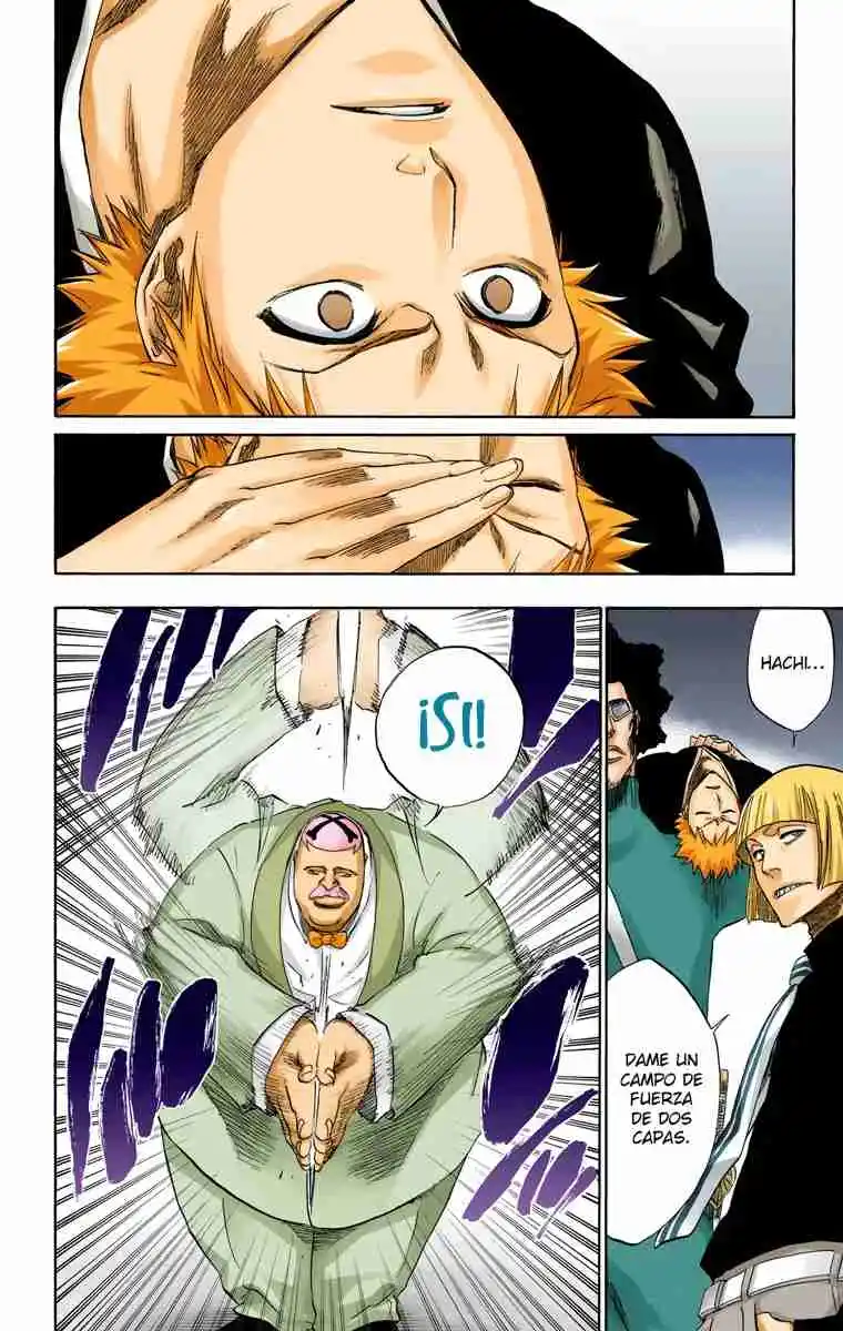 Bleach Full Color - Capítulo 217 - Página 17 - LectorTMOo