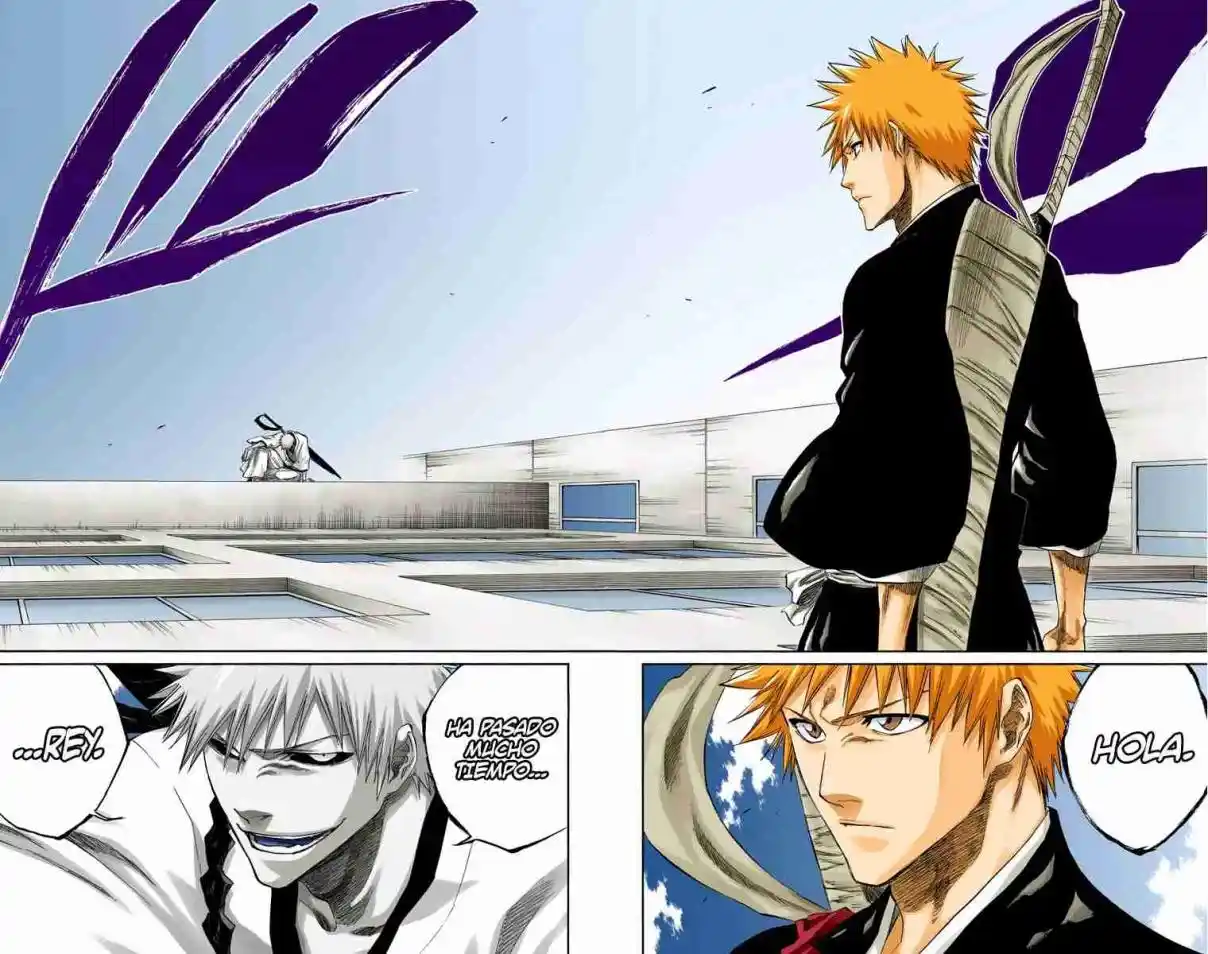 Bleach Full Color - Capítulo 217 - Página 19 - LectorTMOo