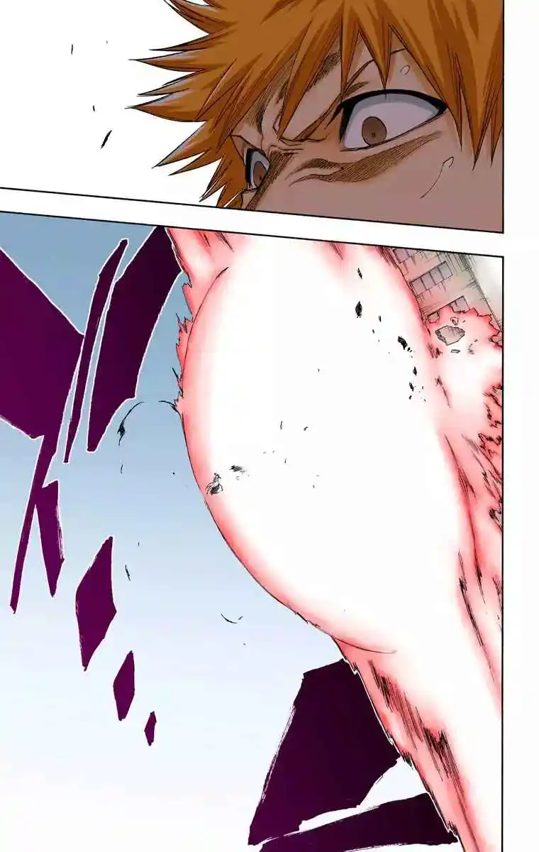 Bleach Full Color - Capítulo 219 - Página 14 - LectorTMOo