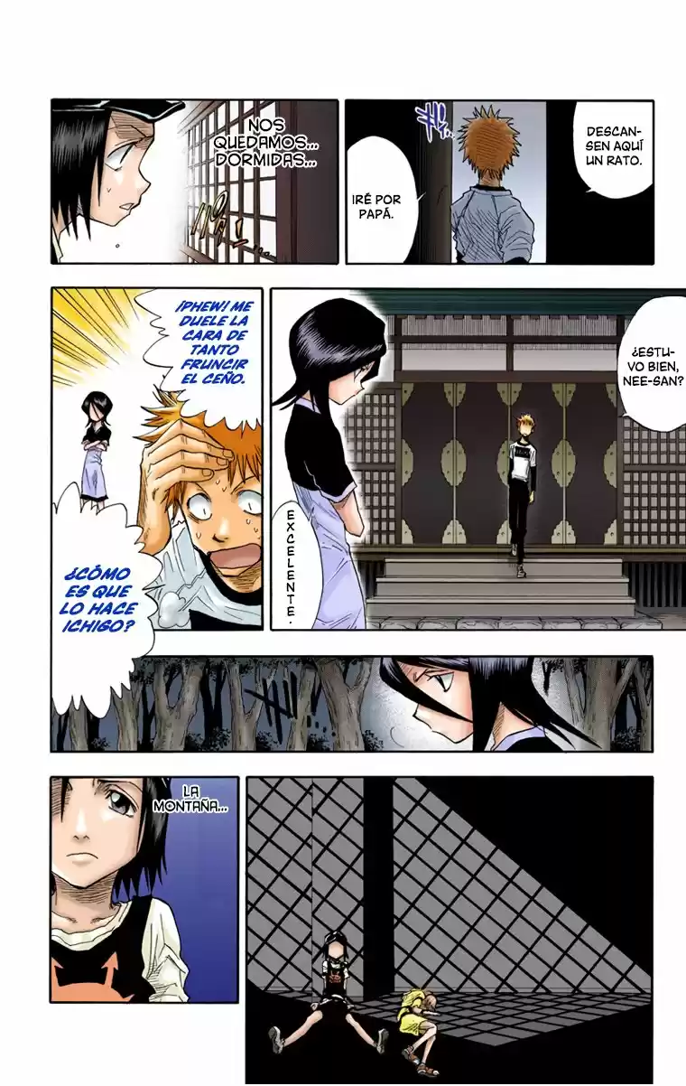 Bleach Full Color - Capítulo 22 - Página 17 - LectorTMOo