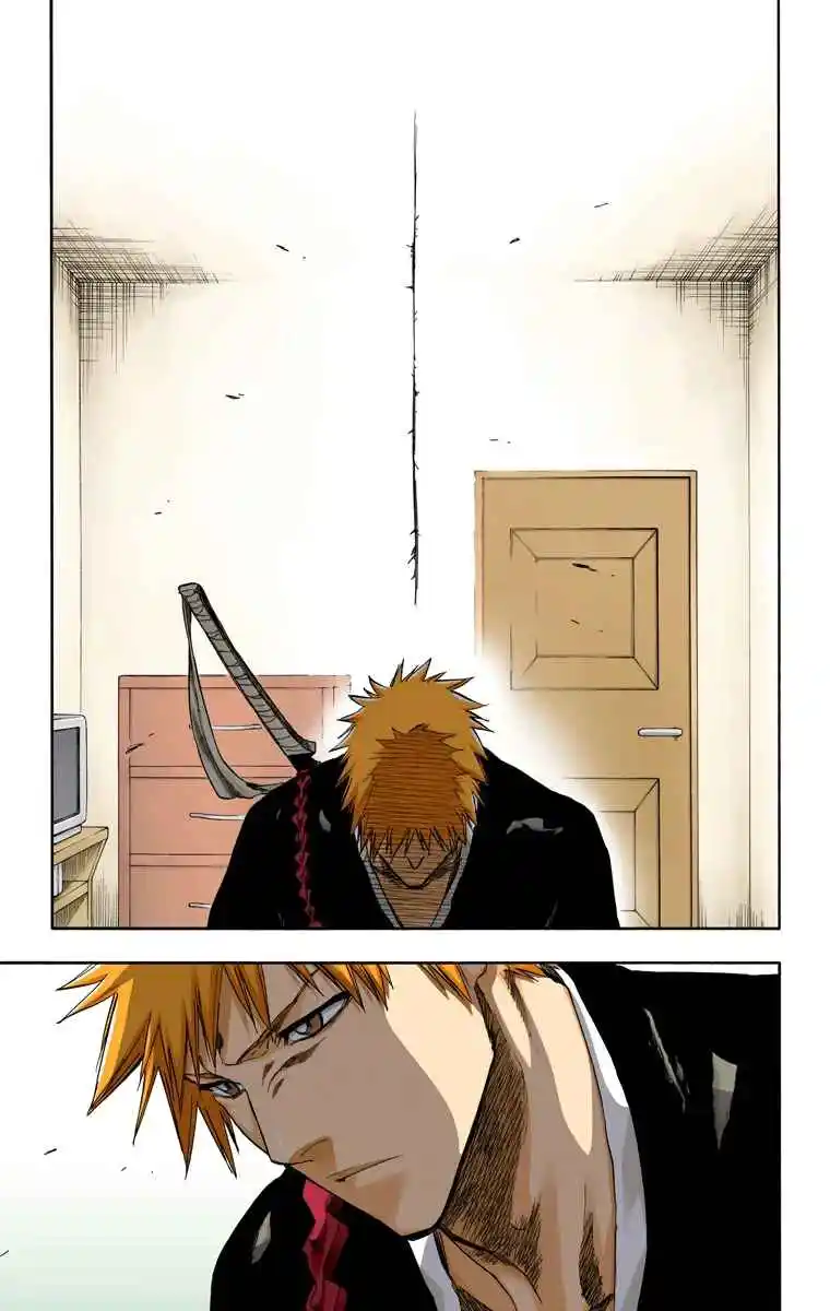Bleach Full Color - Capítulo 238 - Página 19 - LectorTMOo