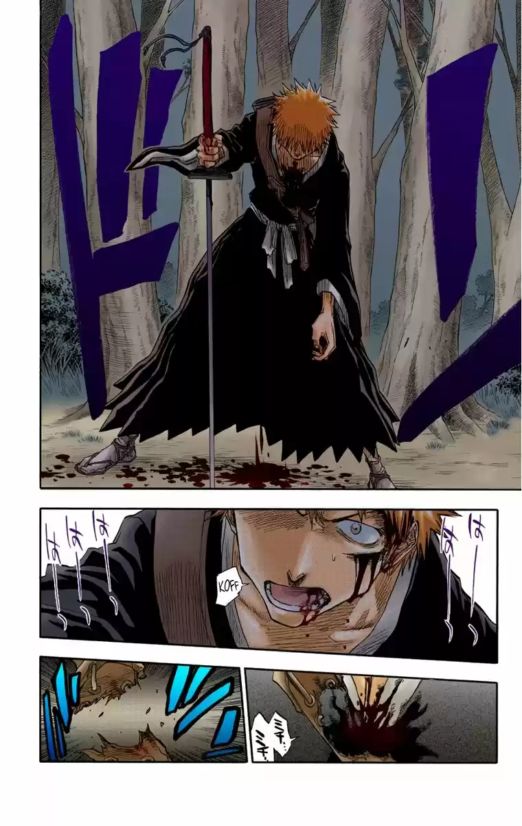Bleach Full Color - Capítulo 24 - Página 9 - LectorTMOo
