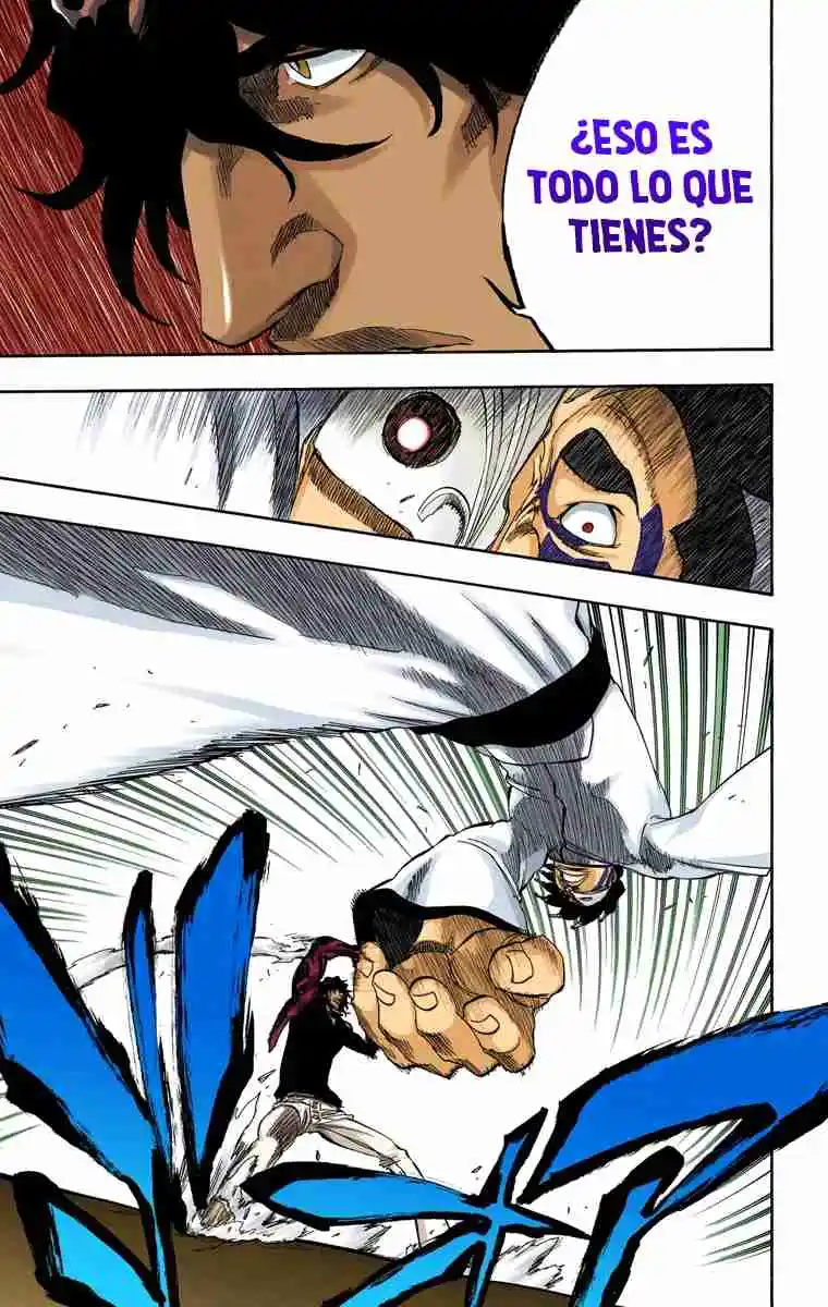 Bleach Full Color - Capítulo 243 - Página 14 - LectorTMOo