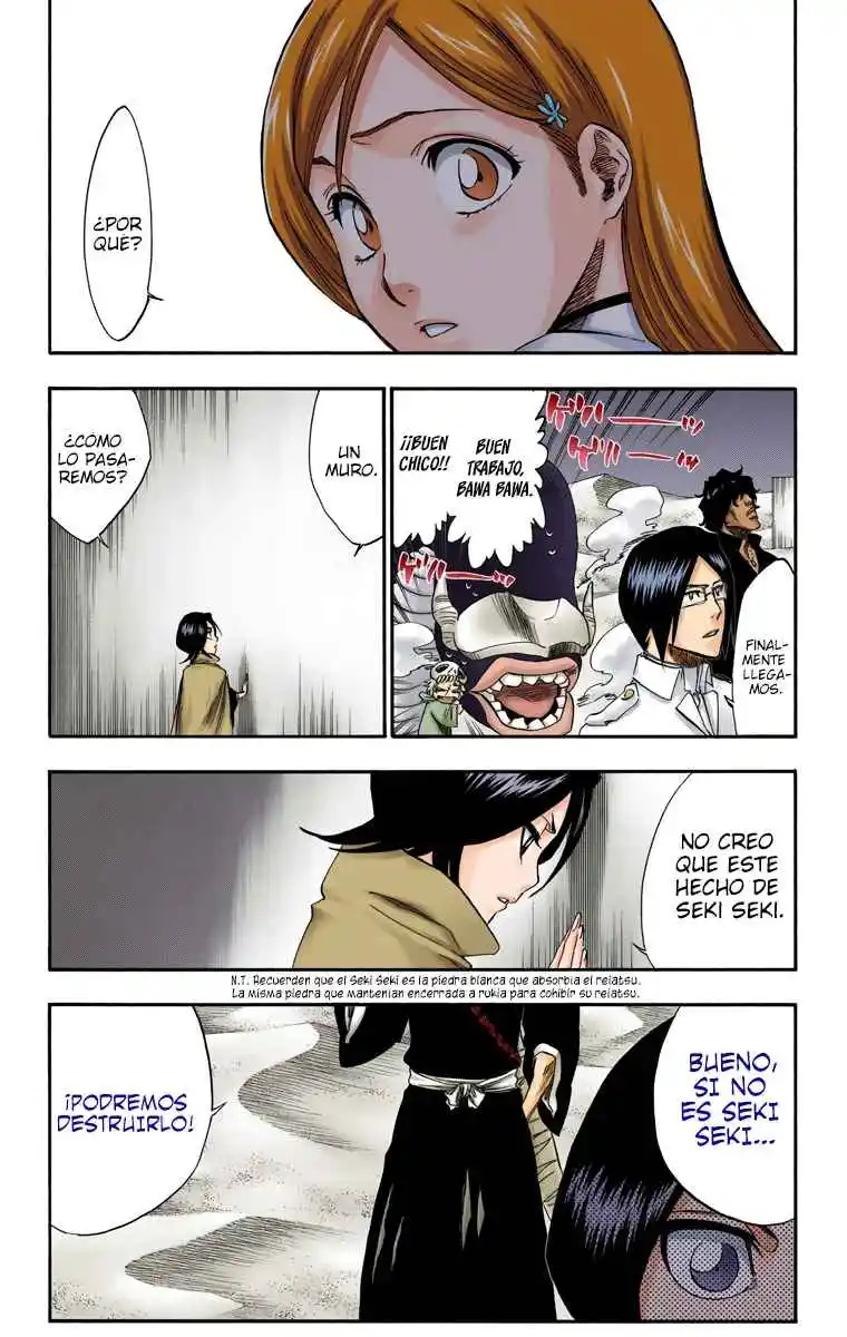 Bleach Full Color - Capítulo 247 - Página 19 - LectorTMOo
