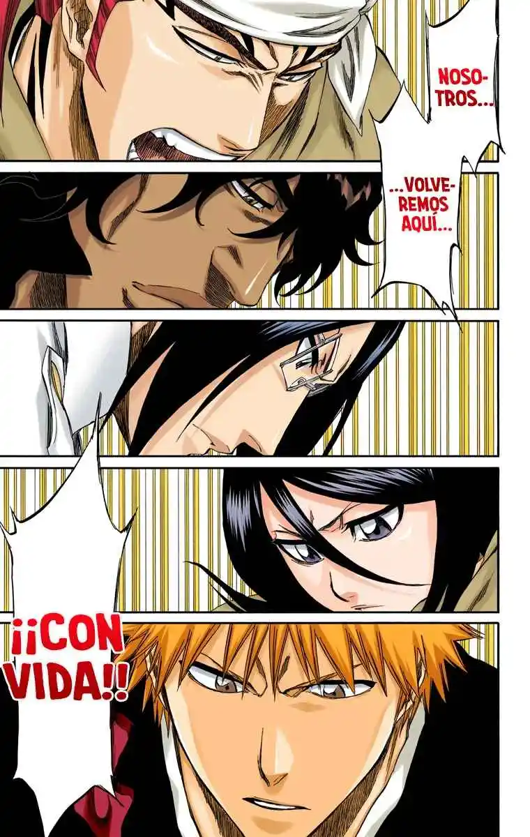 Bleach Full Color - Capítulo 248 - Página 17 - LectorTMOo