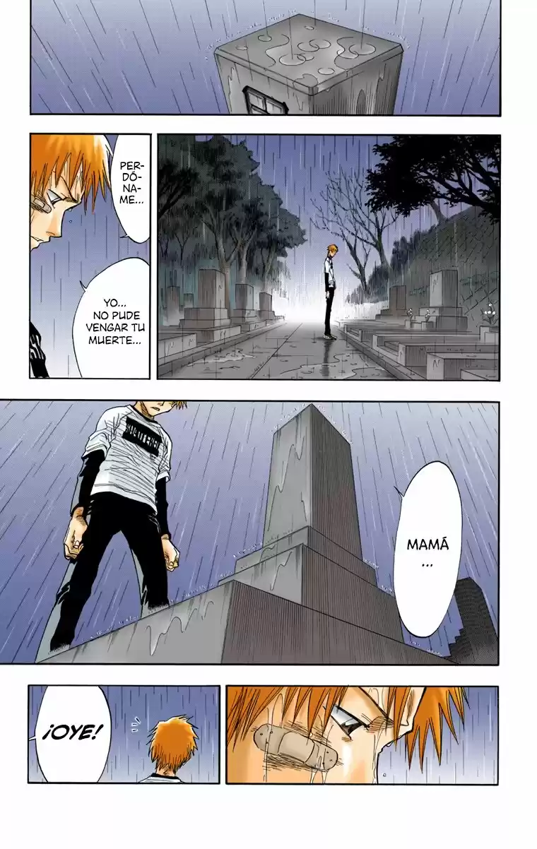 Bleach Full Color - Capítulo 25 - Página 7 - LectorTMOo