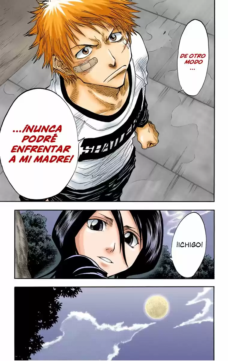 Bleach Full Color - Capítulo 25 - Página 17 - LectorTMOo