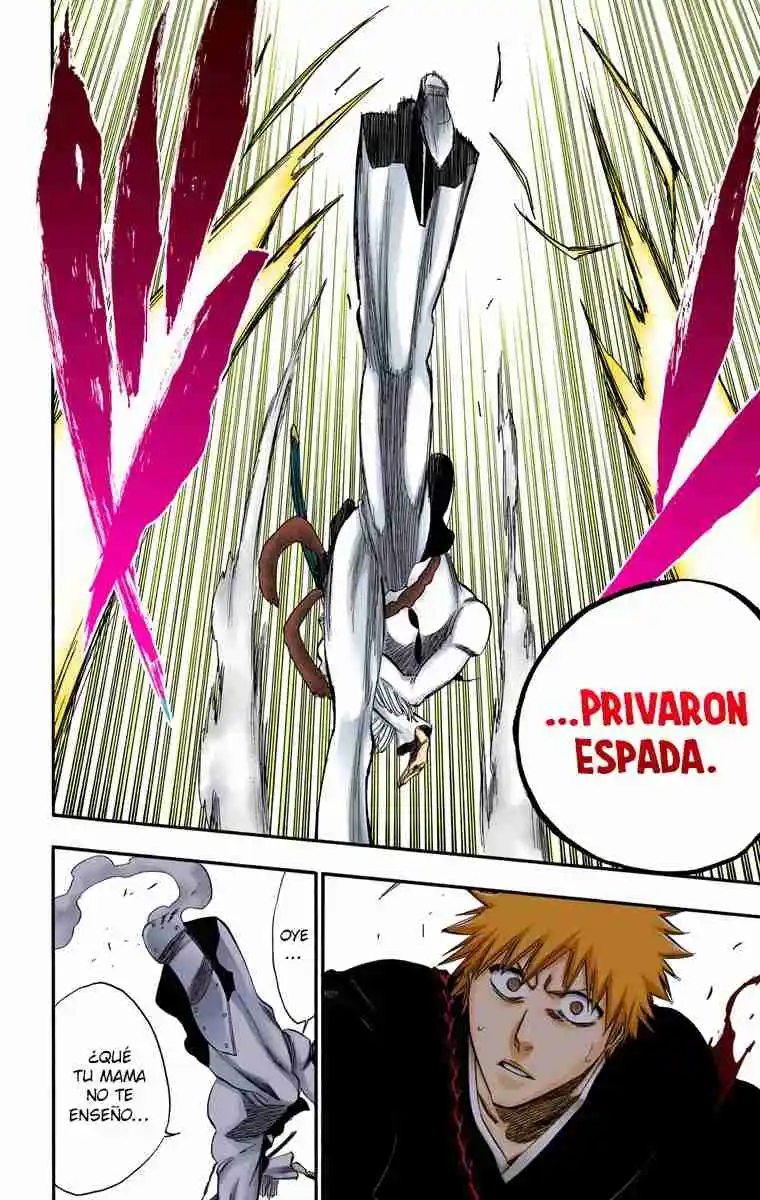 Bleach Full Color - Capítulo 250 - Página 21 - LectorTMOo