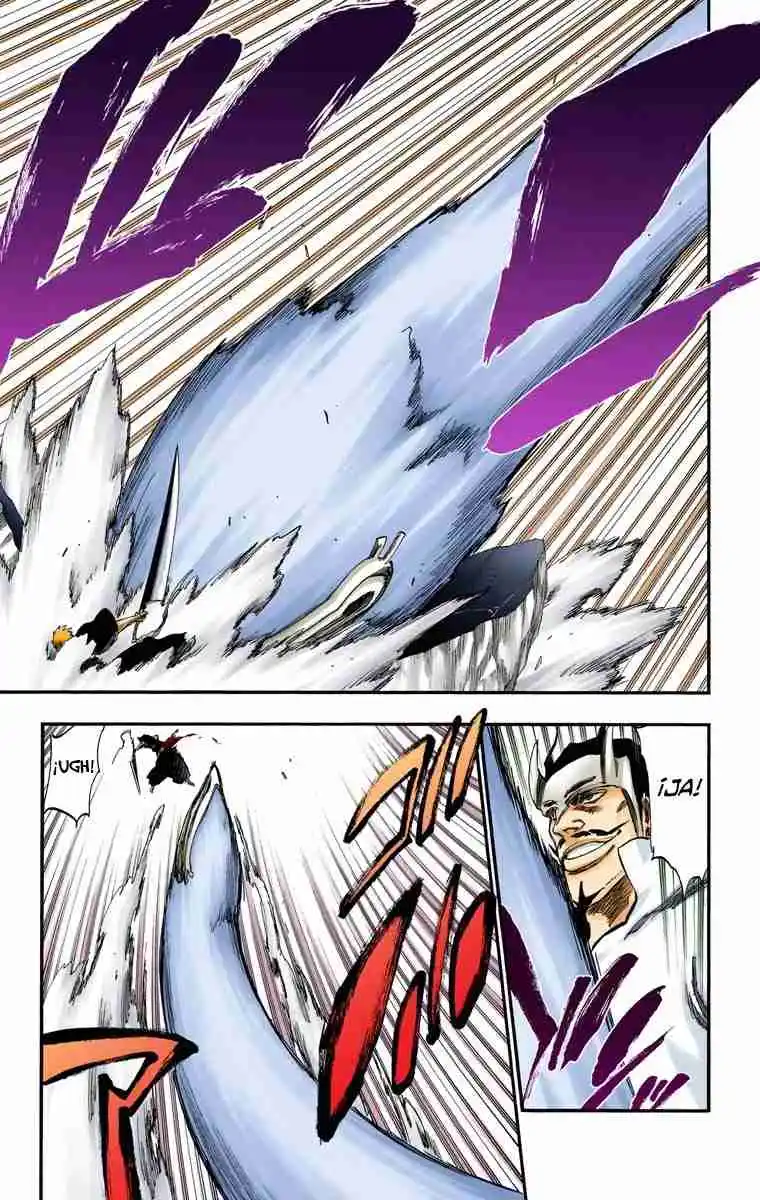 Bleach Full Color - Capítulo 252 - Página 13 - LectorTMOo