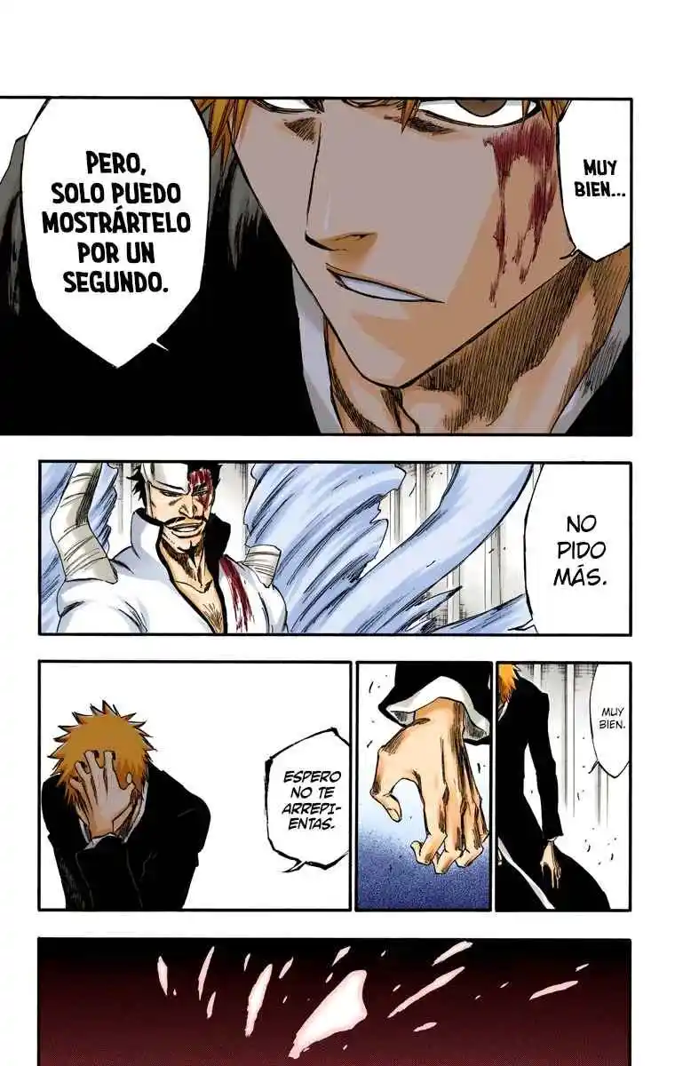 Bleach Full Color - Capítulo 253 - Página 14 - LectorTMOo