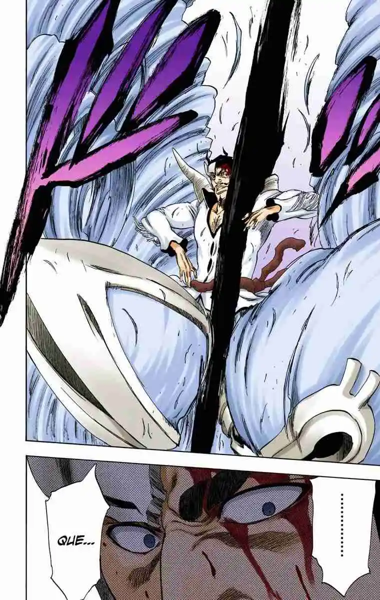 Bleach Full Color - Capítulo 253 - Página 17 - LectorTMOo