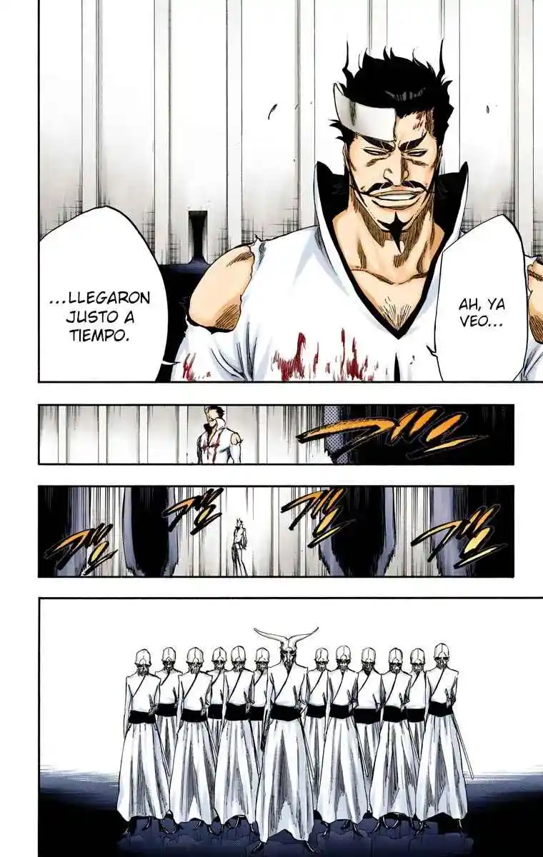Bleach Full Color - Capítulo 254 - Página 13 - LectorTMOo