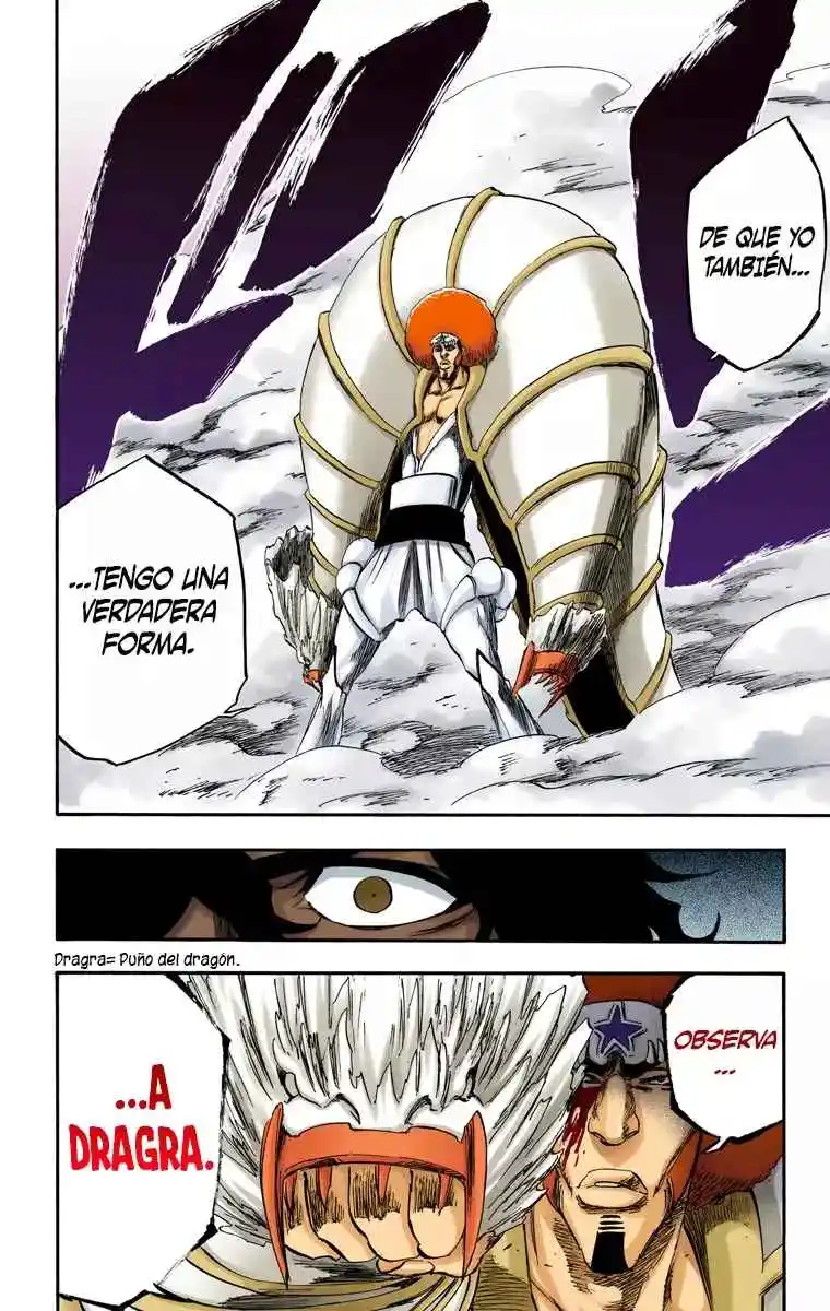 Bleach Full Color - Capítulo 260 - Página 13 - LectorTMOo