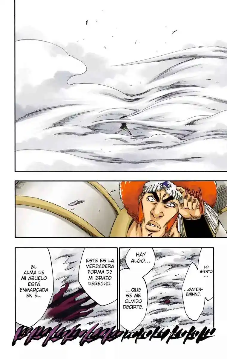Bleach Full Color - Capítulo 260 - Página 17 - LectorTMOo