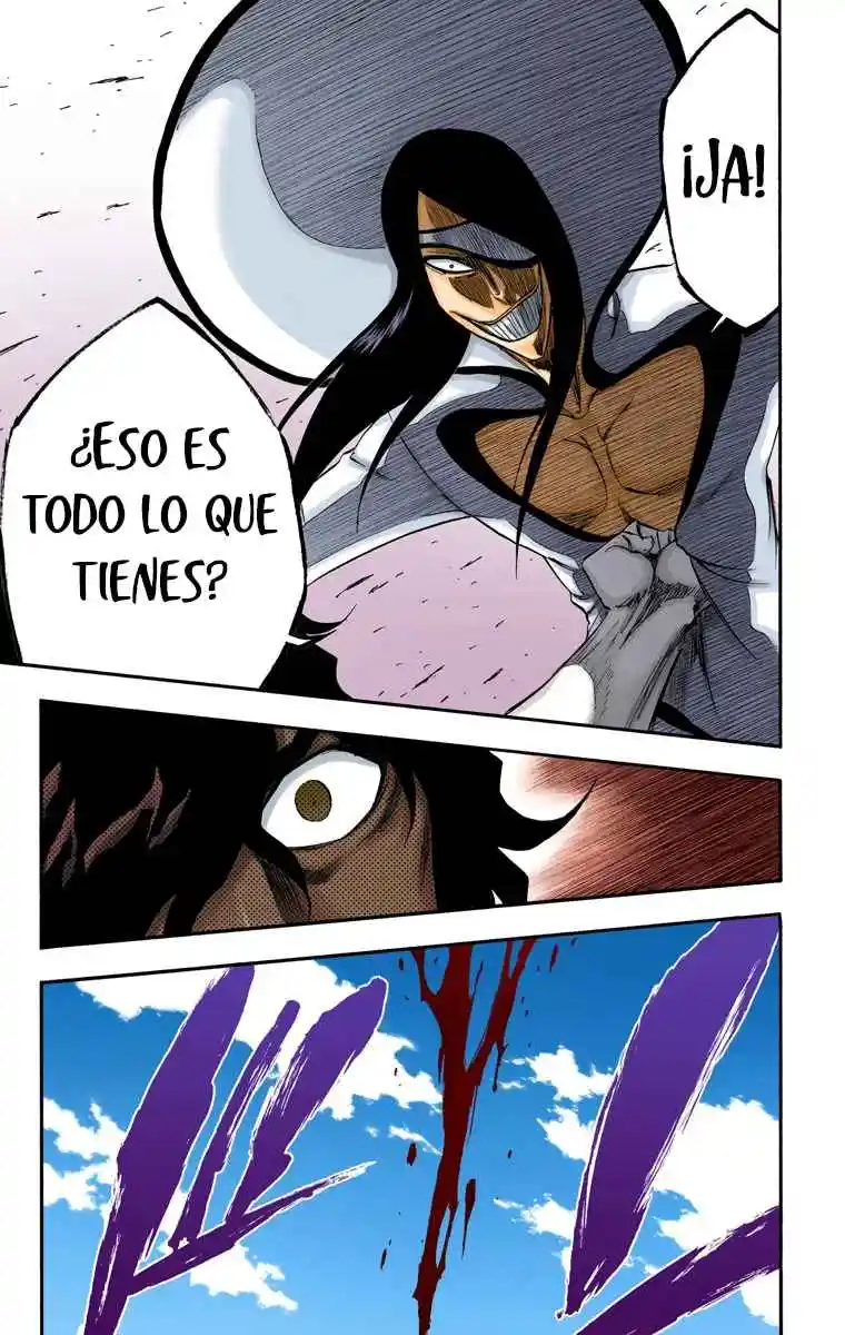 Bleach Full Color - Capítulo 261 - Página 24 - LectorTMOo