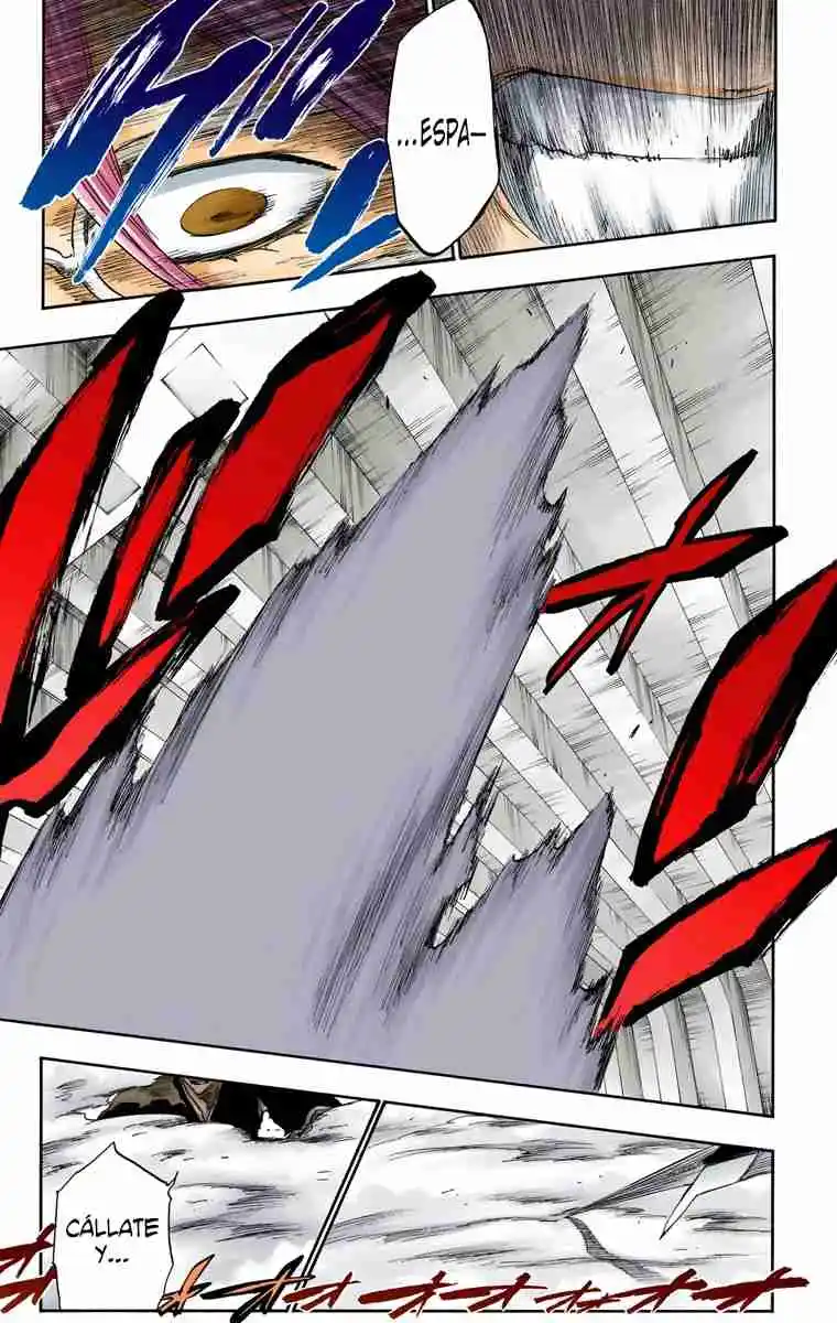 Bleach Full Color - Capítulo 269 - Página 16 - LectorTMOo