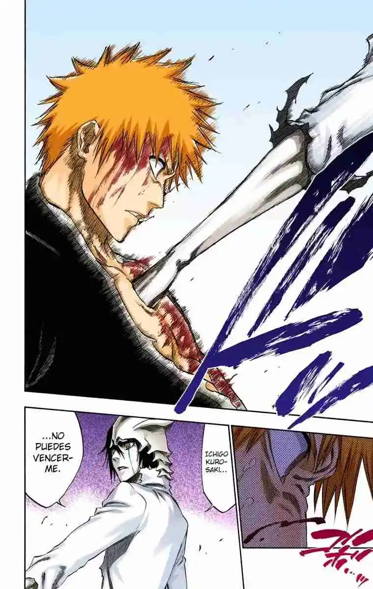 Bleach Full Color - Capítulo 271 - Página 19 - LectorTMOo