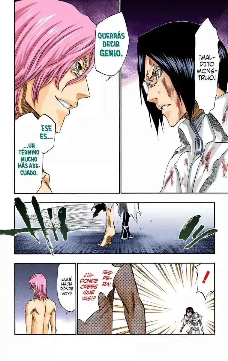 Bleach Full Color - Capítulo 276 - Página 13 - LectorTMOo