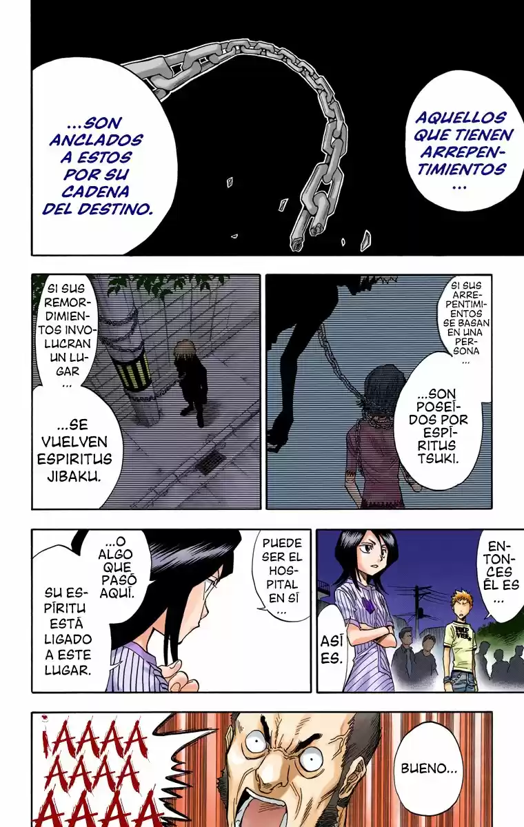 Bleach Full Color - Capítulo 28 - Página 13 - LectorTMOo