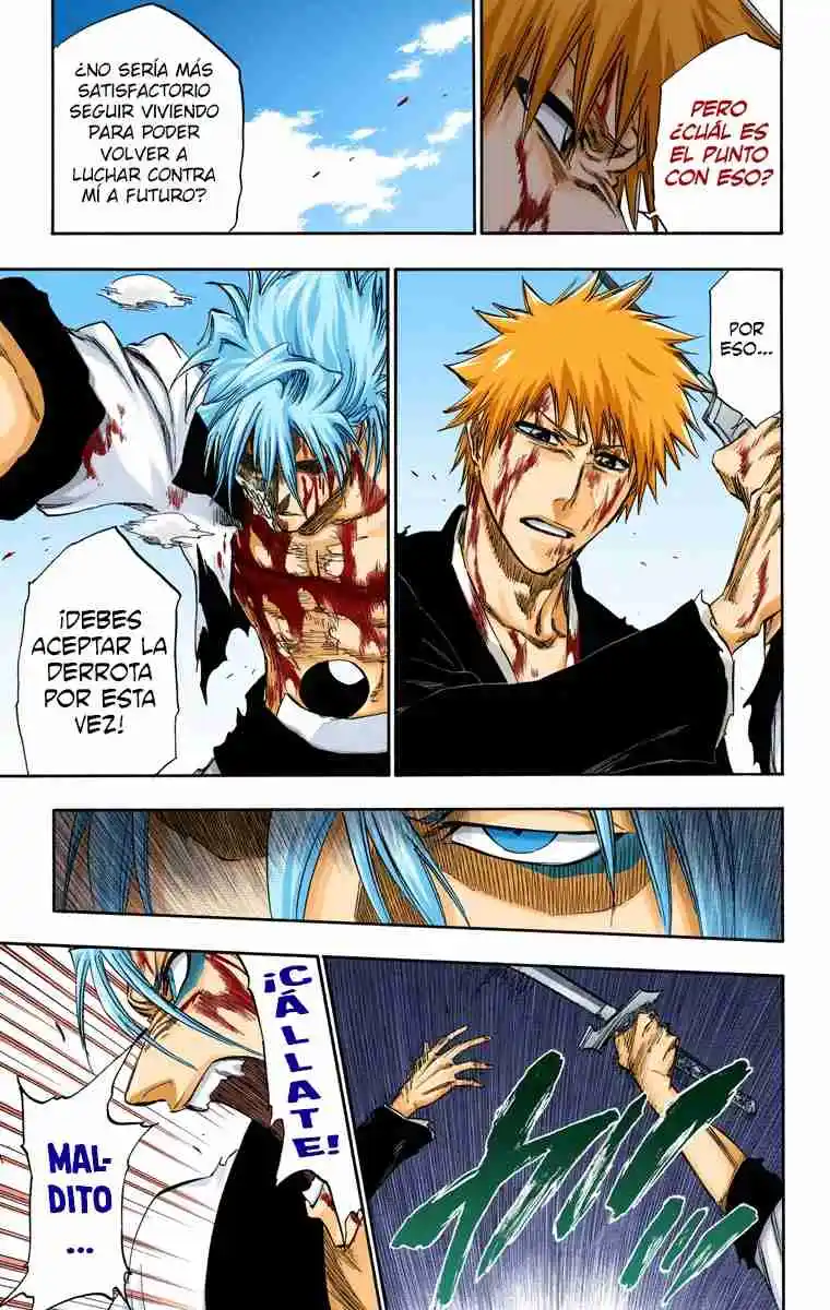 Bleach Full Color - Capítulo 286 - Página 17 - LectorTMOo