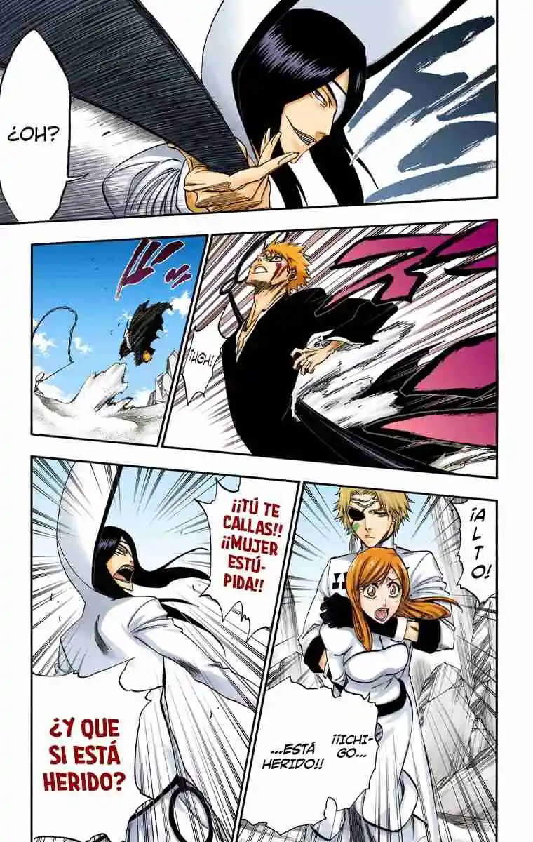 Bleach Full Color - Capítulo 288 - Página 17 - LectorTMOo