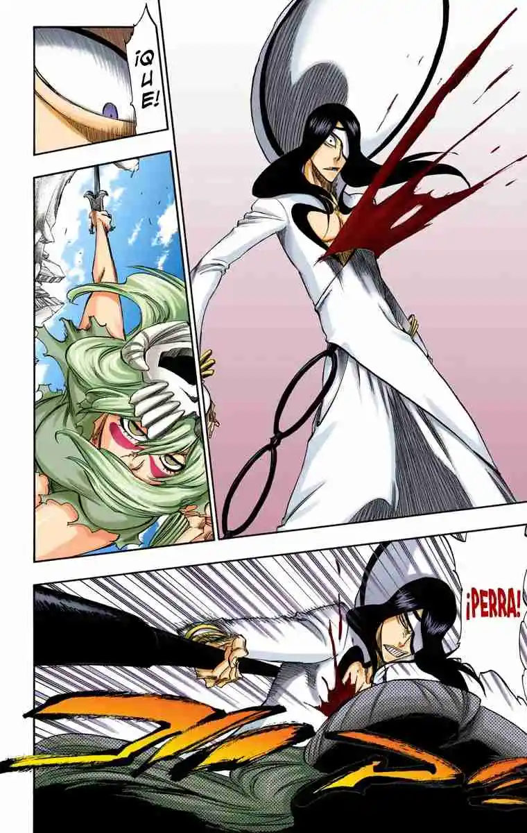 Bleach Full Color - Capítulo 291 - Página 14 - LectorTMOo