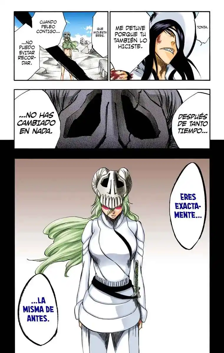 Bleach Full Color - Capítulo 293 - Página 22 - LectorTMOo