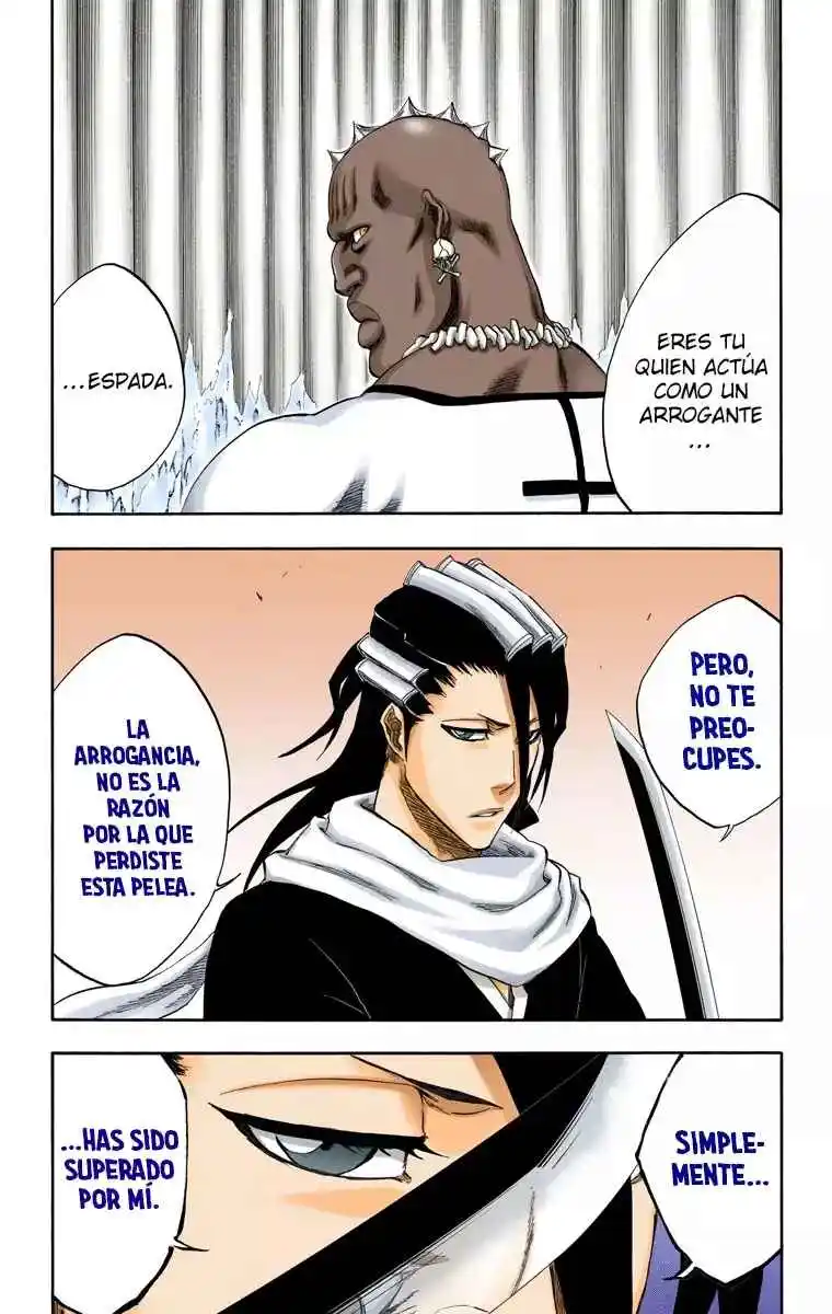 Bleach Full Color - Capítulo 299 - Página 19 - LectorTMOo