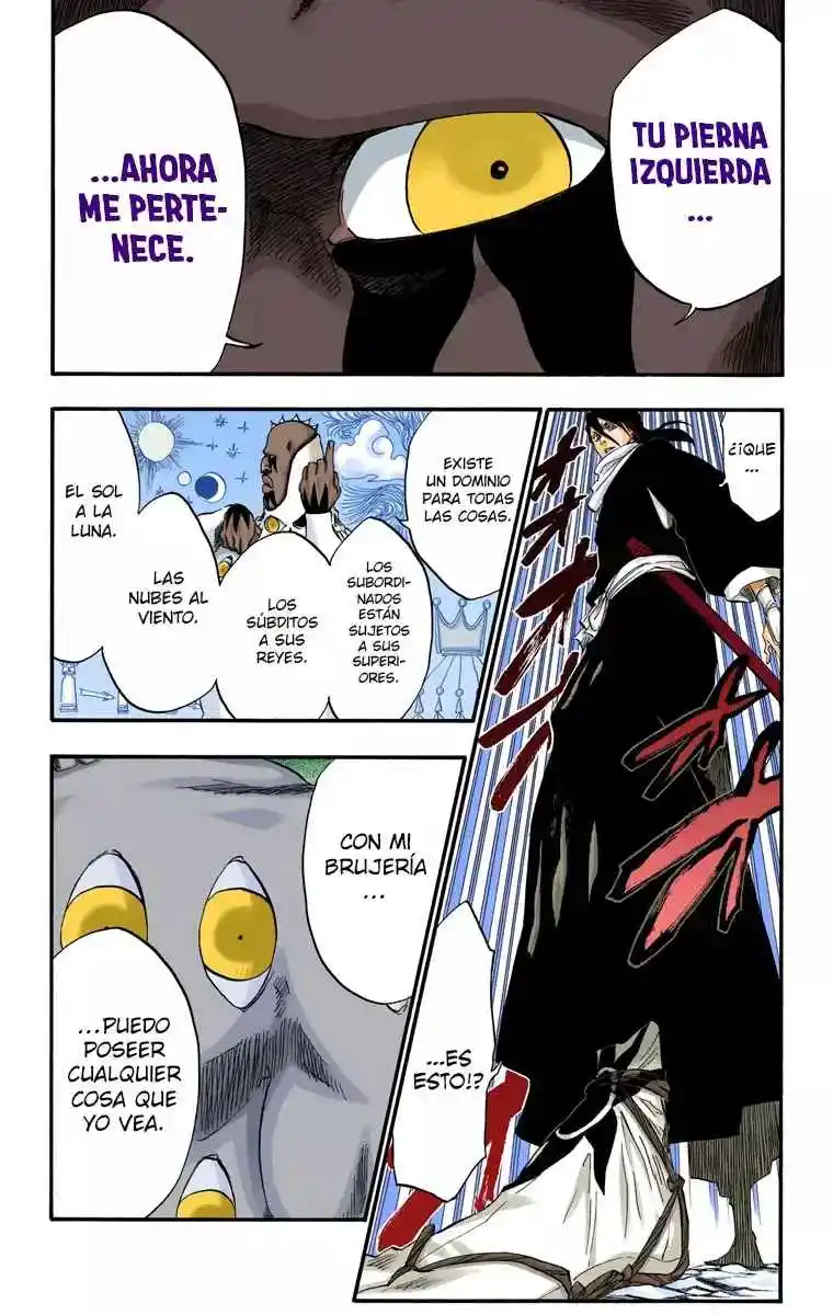 Bleach Full Color - Capítulo 300 - Página 13 - LectorTMOo