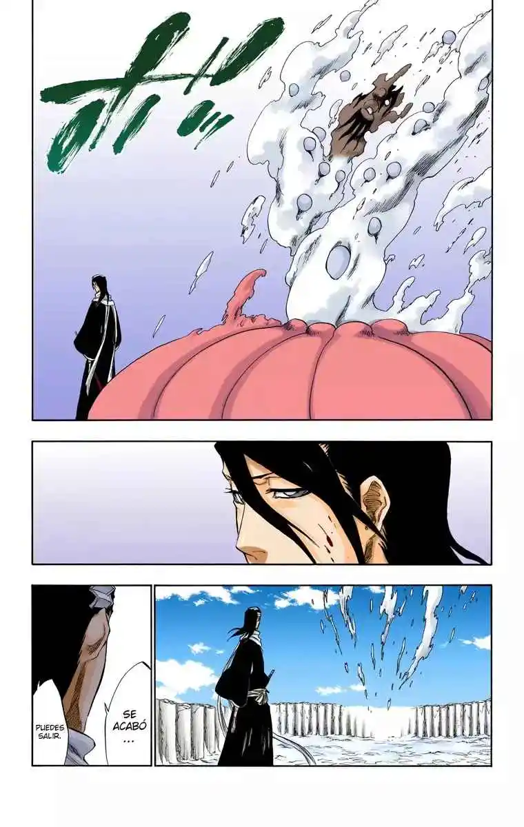 Bleach Full Color - Capítulo 302 - Página 17 - LectorTMOo