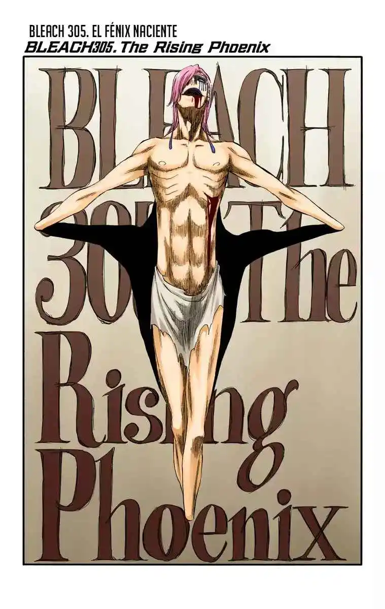 Bleach Full Color - Capítulo 305 - Página 5 - LectorTMOo