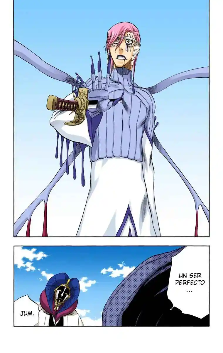 Bleach Full Color - Capítulo 306 - Página 8 - LectorTMOo
