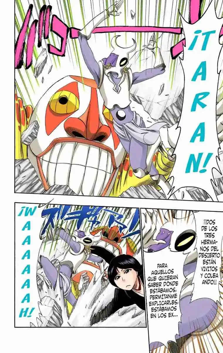Bleach Full Color - Capítulo 306 - Página 17 - LectorTMOo