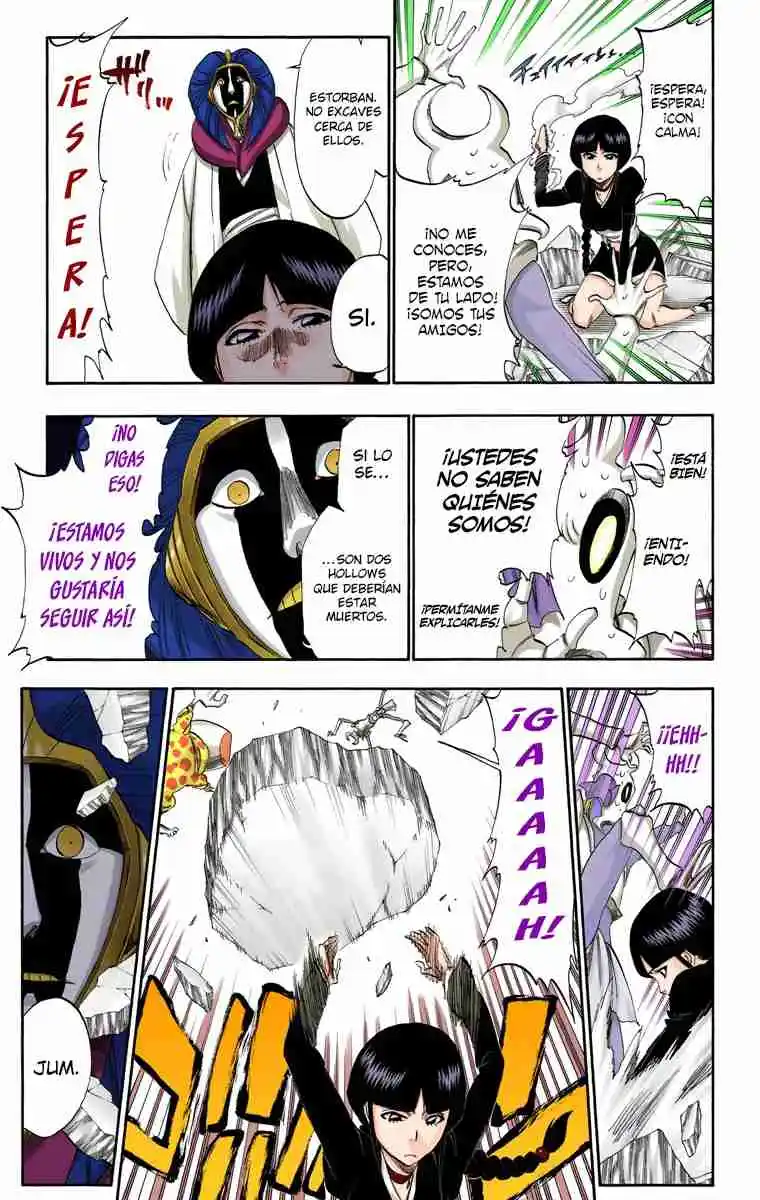 Bleach Full Color - Capítulo 306 - Página 18 - LectorTMOo