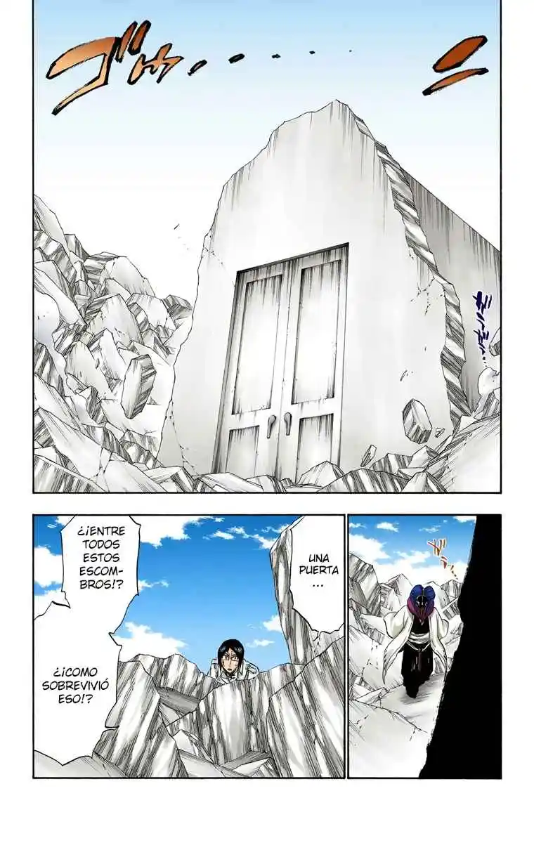 Bleach Full Color - Capítulo 306 - Página 19 - LectorTMOo
