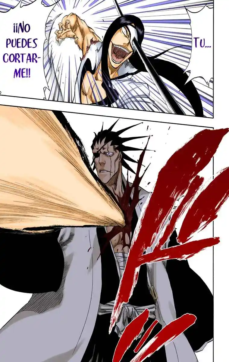 Bleach Full Color - Capítulo 307 - Página 18 - LectorTMOo
