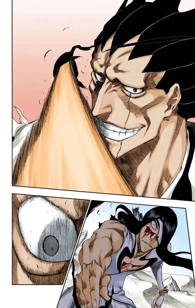 Bleach Full Color - Capítulo 308 - Página 19 - LectorTMOo
