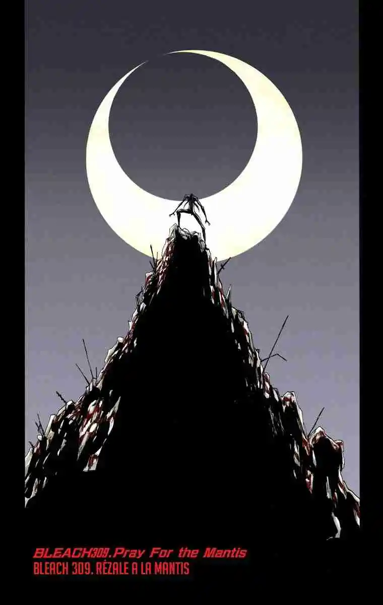 Bleach Full Color - Capítulo 309 - Página 9 - LectorTMOo