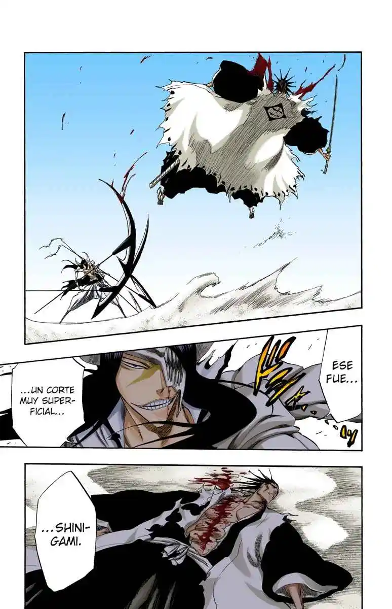 Bleach Full Color - Capítulo 309 - Página 19 - LectorTMOo
