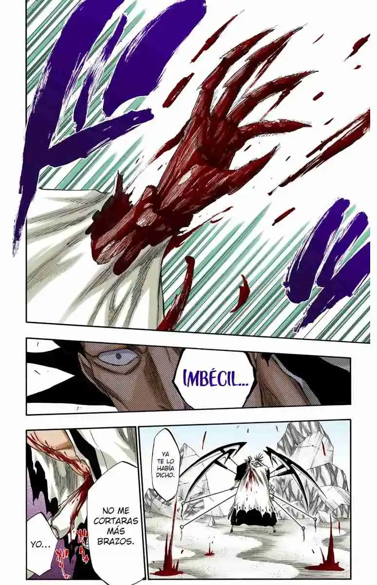Bleach Full Color - Capítulo 310 - Página 19 - LectorTMOo