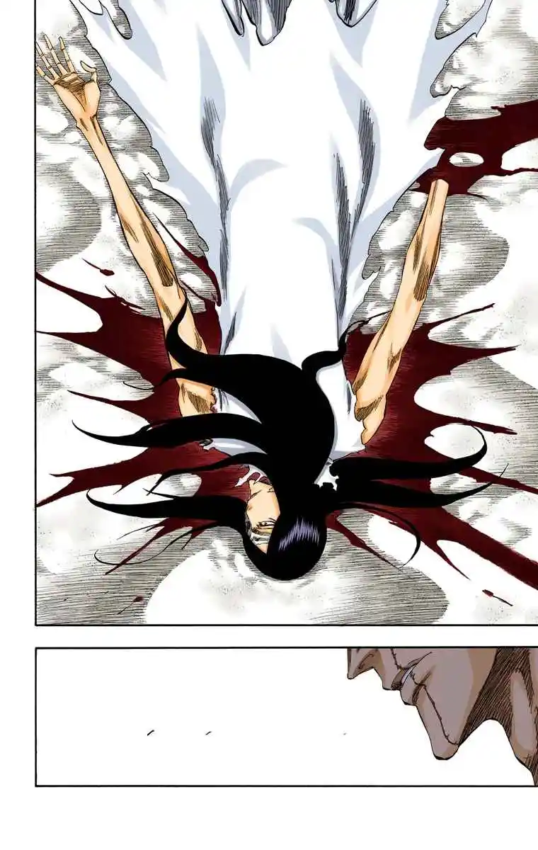 Bleach Full Color - Capítulo 313 - Página 9 - LectorTMOo