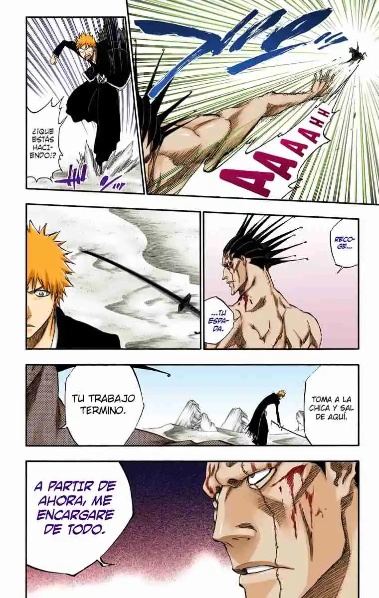 Bleach Full Color - Capítulo 313 - Página 13 - LectorTMOo