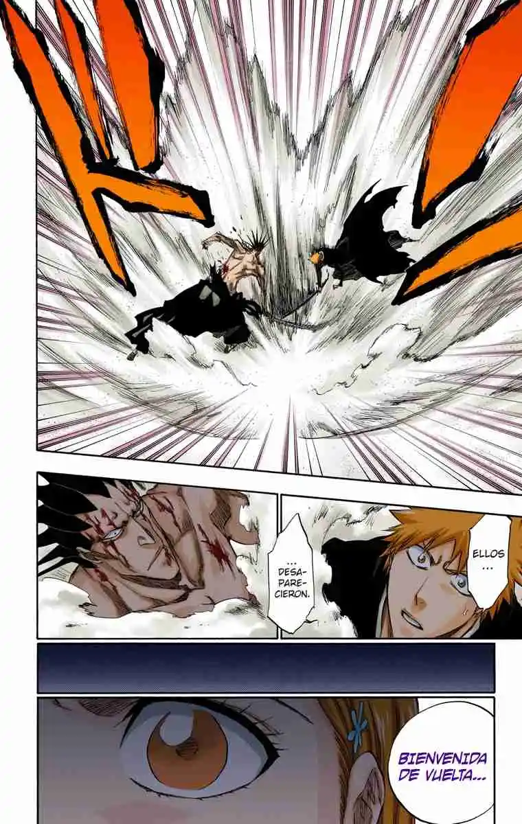 Bleach Full Color - Capítulo 313 - Página 17 - LectorTMOo