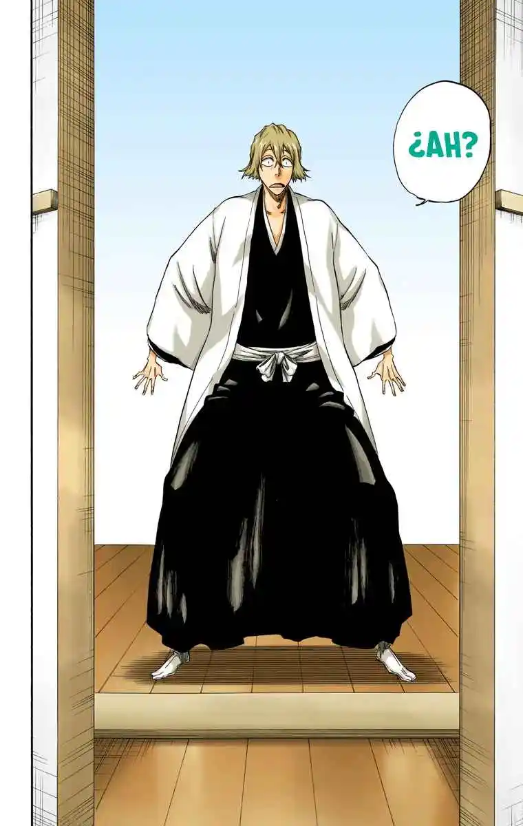 Bleach Full Color - Capítulo 315.10 - Página 22 - LectorTMOo