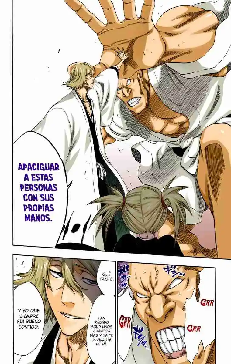 Bleach Full Color - Capítulo 315.3 - Página 17 - LectorTMOo