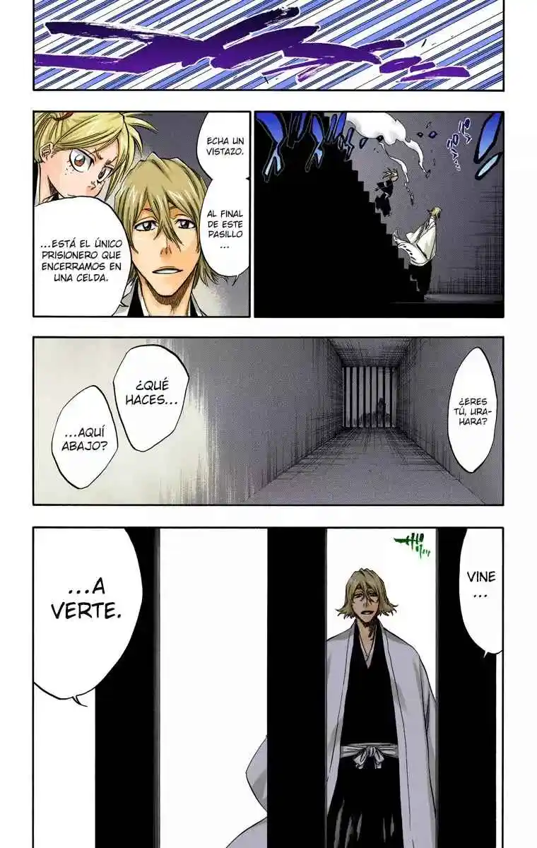 Bleach Full Color - Capítulo 315.3 - Página 18 - LectorTMOo