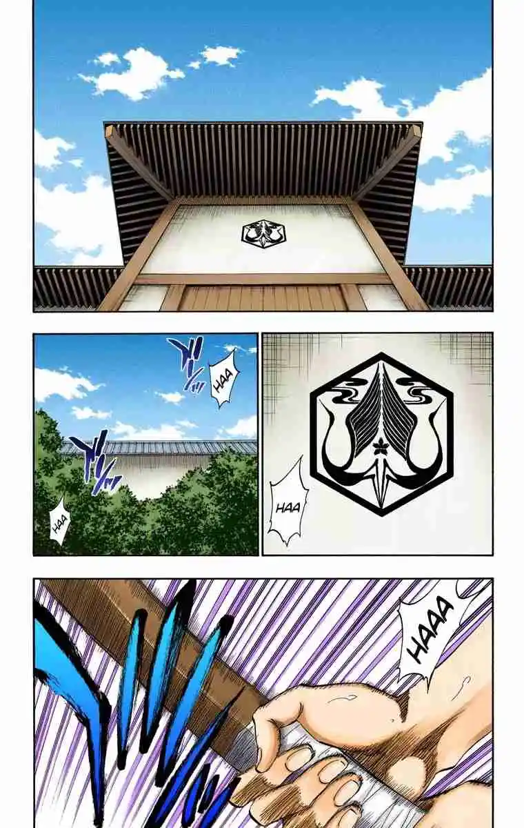 Bleach Full Color - Capítulo 315.4 - Página 9 - LectorTMOo