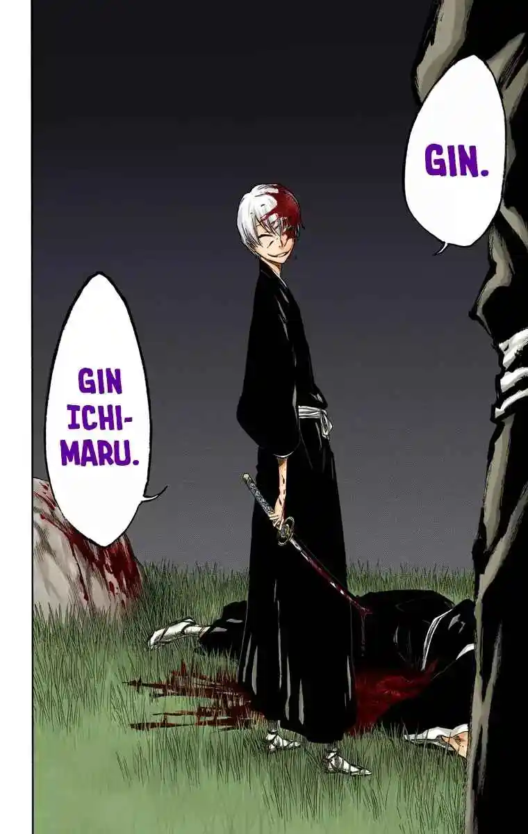 Bleach Full Color - Capítulo 315.4 - Página 19 - LectorTMOo