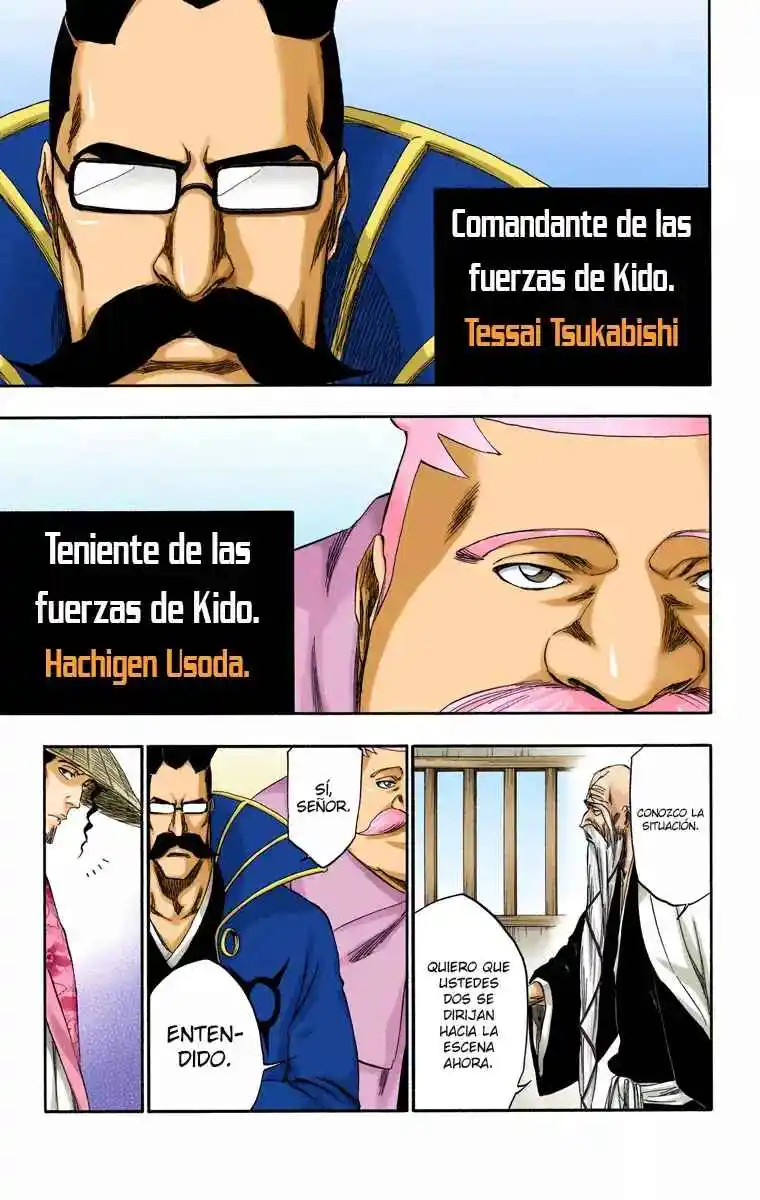 Bleach Full Color - Capítulo 315.7 - Página 10 - LectorTMOo